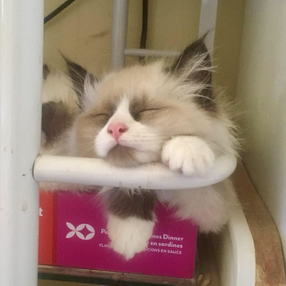 ***Please Read 6/30/19***